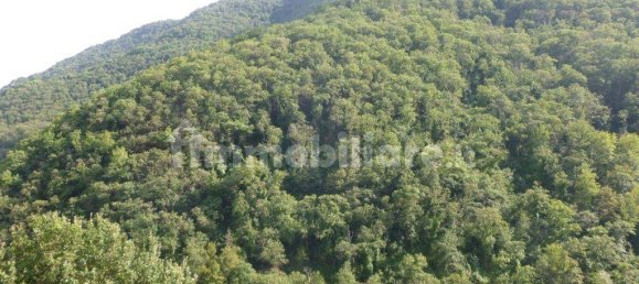 3 Schlafzimmer Villa in Rapallo, Italy, Nr. 38444 10