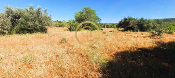 Terreno en Alte, Portugal 2620 m² No. 39808 5