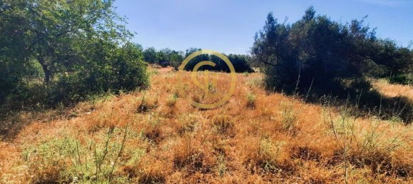 Terreno en Alte, Portugal 2620 m² No. 39808 3