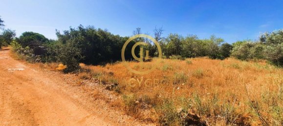 Terreno en Alte, Portugal 2620 m² No. 39808 19