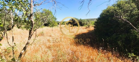 Terreno en Alte, Portugal 2620 m² No. 39808 8