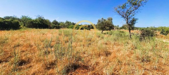 Terreno en Alte, Portugal 2620 m² No. 39808 13