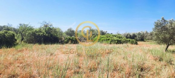 Terreno en Alte, Portugal 2620 m² No. 39808 16