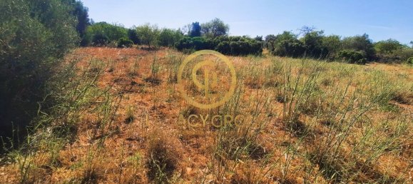 Terreno en Alte, Portugal 2620 m² No. 39808 9