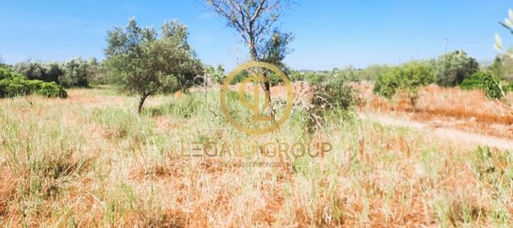 Terreno en Alte, Portugal 2620 m² No. 39808 15