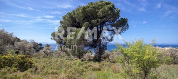  فندق في Skiathos, Greece 4050متر مربع رقم 744 2