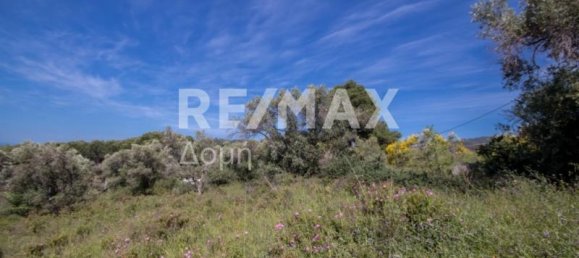 4050m² Land in Skiathos, Greece No. 744 4