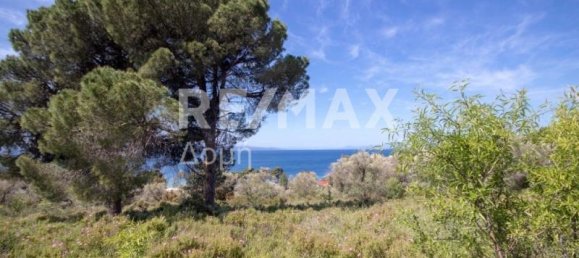  فندق في Skiathos, Greece 4050متر مربع رقم 744 3