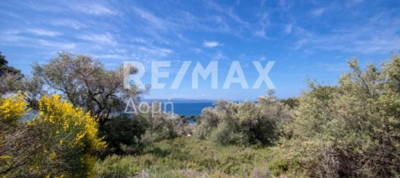 4050m² Land in Skiathos, Greece No. 744 7
