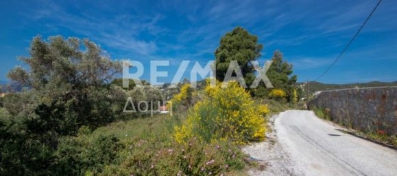  فندق في Skiathos, Greece 4050متر مربع رقم 744 9