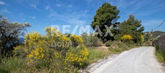 4050m² Land in Skiathos, Greece No. 744 8