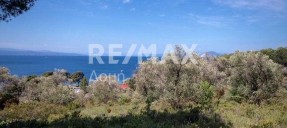  فندق في Skiathos, Greece 4050متر مربع رقم 744 5