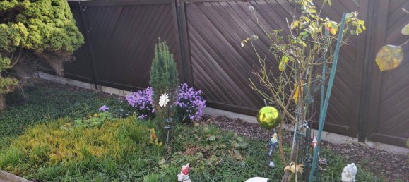 Bungalow de 2 habitaciónes en Trausdorf an der Wulka, Austria No. 61588 9