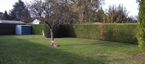 Bungalow de 2 habitaciónes en Trausdorf an der Wulka, Austria No. 61588 13