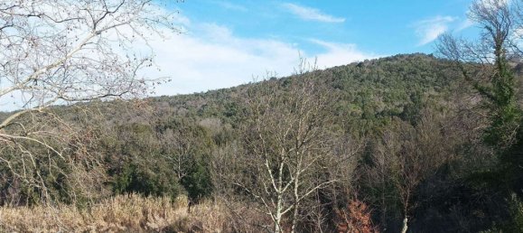 Дом с 12 спальнями в Санта Луче, Италия № 364492 15