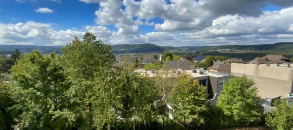 Квартира с 3 спальнями в Трир-Саарбург, Германия № 320523 6