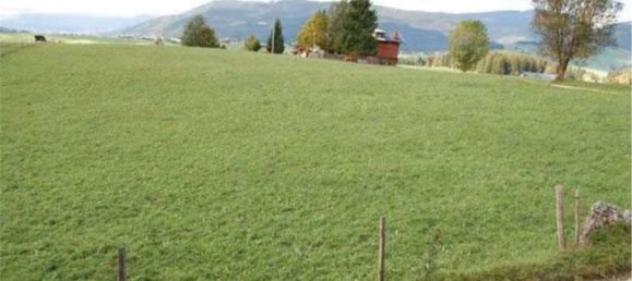 Lagerhaus in Minerbe, Italy 8131m², Nr. 148882 12