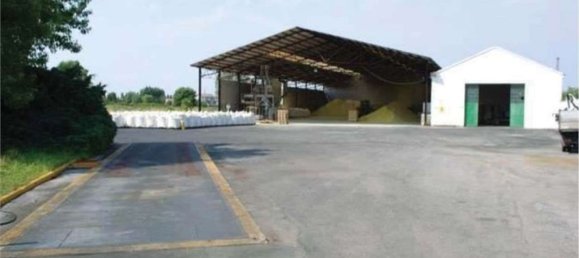 Lagerhaus in Minerbe, Italy 8131m², Nr. 148882 8