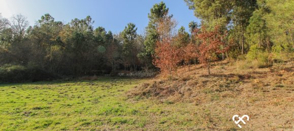 Terrain à Viseu, Portugal No. 65863 2