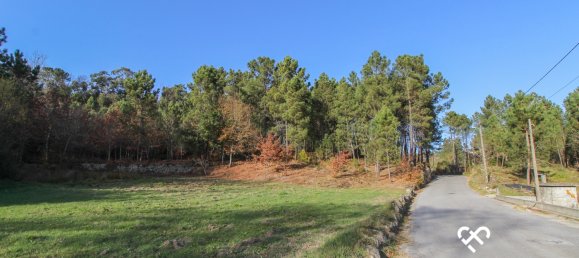 Terrain à Viseu, Portugal No. 65863 3