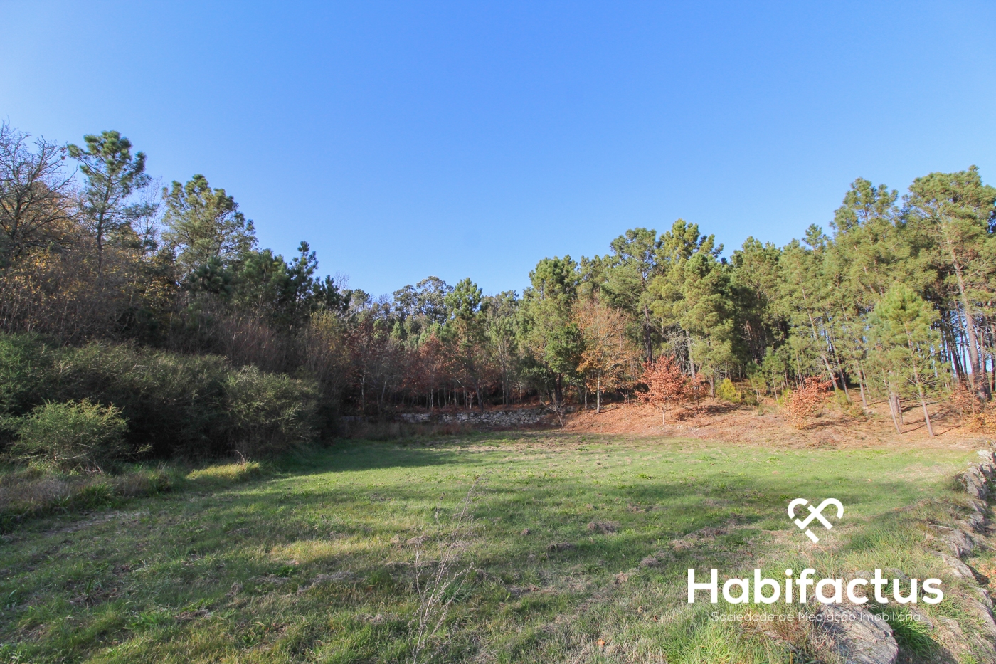 Terrain à Viseu, Portugal No. 65863