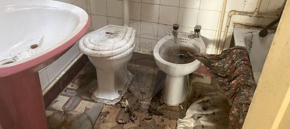 4 غرف نوم منزل في Trancoso, Portugal رقم 24271 2