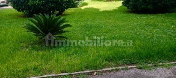 Студия в Рим, Италия № 250841 8