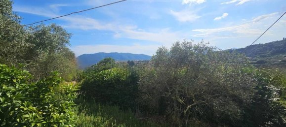 6 rooms Villa in Sarzana, Italy No. 17287 38