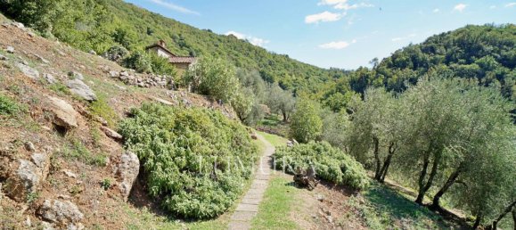 3 Schlafzimmer Haus in Borgo a Mozzano, Italy, Nr. 232526 23