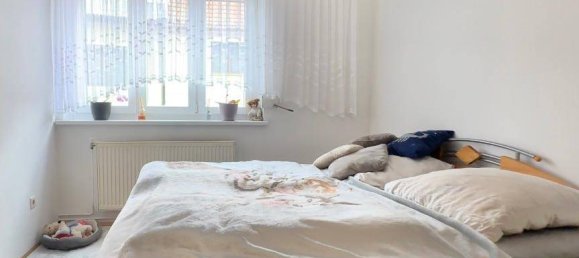 2 rooms House in Bernhardsthal, Austria No. 233316 8