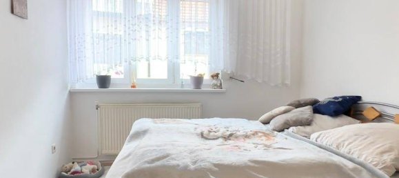 2 rooms House in Bernhardsthal, Austria No. 233316 7