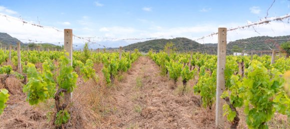 11 chambres Villa à Galtellì, Italy No. 54598 20