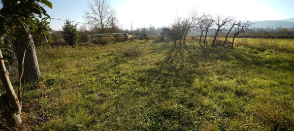 12 rooms House in Cremolino, Italy No. 147457 22