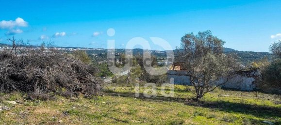 2 bedrooms House in Loule, Portugal No. 155991 11