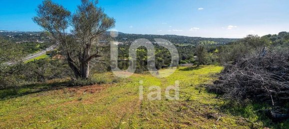 2 bedrooms House in Loule, Portugal No. 155991 20