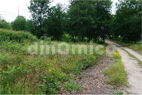 6500m² Land in Vila Nova de Famalicao, Portugal No. 32419