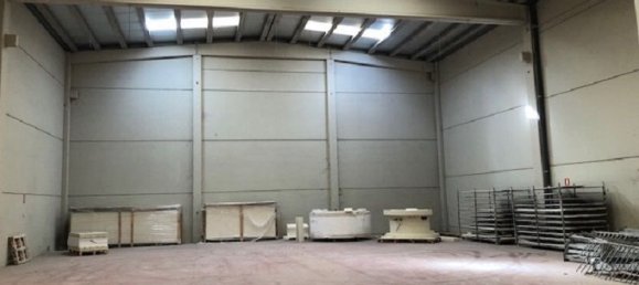  مستودع في La Muela, Spain 576متر مربع رقم 67643 5