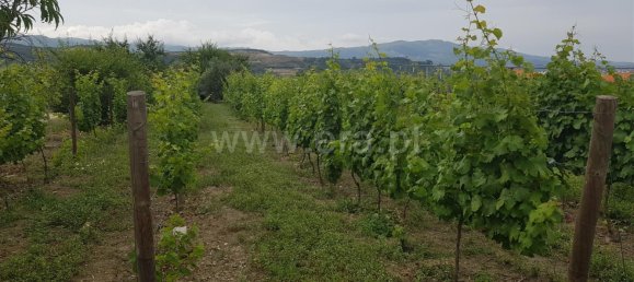 8 Schlafzimmer Schlösser in Cumieira, Portugal, Nr. 126250 5