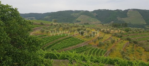 8 Schlafzimmer Schlösser in Cumieira, Portugal, Nr. 126250 9