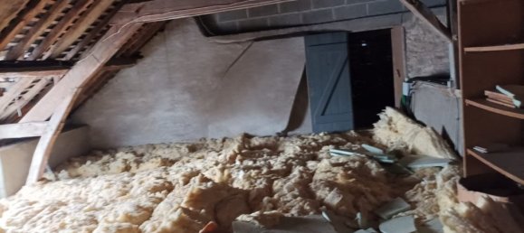 3 chambres Maison à La Guerche-de-Bretagne, France No. 206336 11