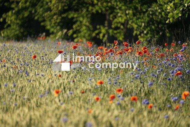 Grundstück in Wöllersdorf-Steinabrückl, Austria, Nr. 26754