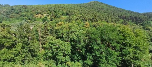 5غرفة منزل في Capannori, Italy رقم 42729 64