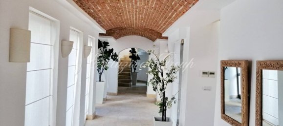 Villa 7+2 in Bodrum, Turkey No. 28637 20