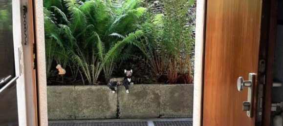 2 Schlafzimmer Wohnung in Ostalbkreis, Germany, Nr. 286477 3