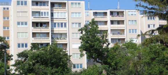 3-Zimmer Wohnung in Wiener Neustadt, Austria, Nr. 231315 2