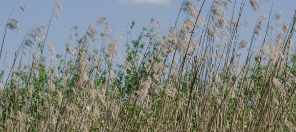 Grundstück in Seekirchen am Wallersee, Austria, Nr. 136573 7
