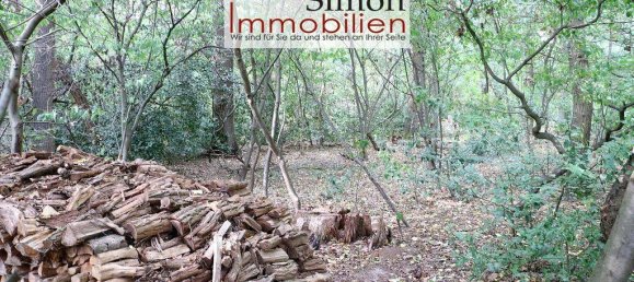 4 غرف نوم بنغالو في Nienburg, Germany رقم 359054 8