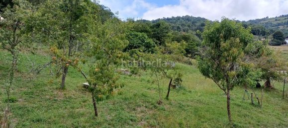 4 غرف نوم منزل في San Martin del Rey Aurelio, Spain رقم 184422 22