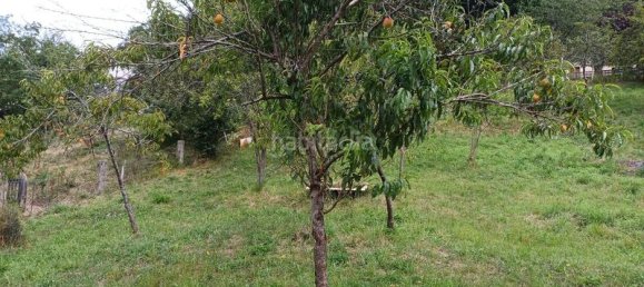 4 غرف نوم منزل في San Martin del Rey Aurelio, Spain رقم 184422 7