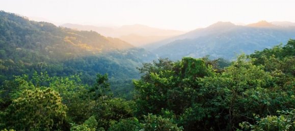 Grundstück in Savegre, Costa Rica, Nr. 2036 6